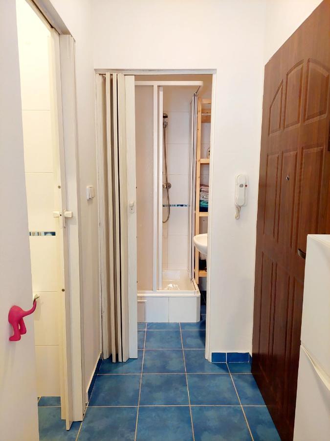 Cozy Studio In Vinohrady プラハ エクステリア 写真